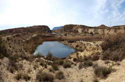 Grupo Mineralógico de Alicante. Lagunas de Rabasa. Alicante   