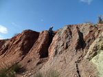 Grupo Mineralógico de Alicante. Loma Badá. Petrer. Alicante   