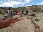 Grupo Mineralógico de Alicante. Loma Badá. Petrer. Alicante   