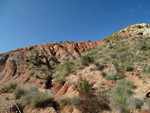 Grupo Mineralógico de Alicante.  Loma Badá. Petrer. Alicante    