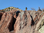 Grupo Mineralógico de Alicante.  Loma Badá. Petrer. Alicante    