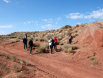 Grupo Mineralógico de Alicante.  Loma Badá. Petrer. Alicante    