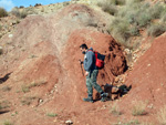 Grupo Mineralógico de Alicante.  Loma Badá. Petrer. Alicante    