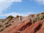 Grupo Mineralógico de Alicante.     Loma Badá. Petrer. Alicante  