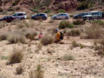 Grupo Mineralógico de Alicante.   Loma Badá. Petrer. Alicante  