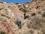 Grupo Mineralógico de Alicante.   Loma Badá. Petrer. Alicante  