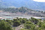 Grupo Mineralógico de Alicante. Salinas la Rosa. Sierra del Carche. Jumilla. Murcia   