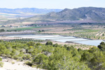 Grupo Mineralógico de Alicante. Salinas la Rosa. Sierra del Carche. Jumilla. Murcia   