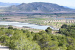 Grupo Mineralógico de Alicante. Salinas la Rosa. Sierra del Carche. Jumilla. Murcia   