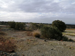 Grupo Mineralógico de Alicante. Mina San Quintin. Cabezarados. Ciudad Real.   