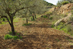 Grupo Mineralógico de Alicante. Trias de Chella. Valencia  