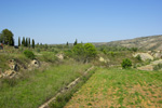 Grupo Mineralógico de Alicante.  Trias de Chella. Valencia   