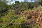 Grupo Mineralógico de Alicante. Trias de Chella. Valencia   