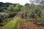 Grupo Mineralógico de Alicante. Trias de Chella. Valencia   