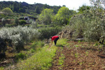 Grupo Mineralógico de Alicante. Trias de Chella. Valencia   