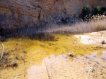 Grupo Mineralógico de Alicante.   Domeño. Valencia  