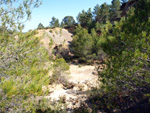 Grupo Mineralógico de Alicante.   Domeño. Valencia  