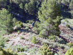 Grupo Mineralógico de Alicante. Los Yesares. Camporrobles. Valencia.