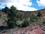 Grupo Mineralógico de Alicante. Los Yesares. Camporrobles. Valencia.