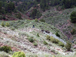 Grupo Mineralógico de Alicante. Los Yesares. Camporrobles. Valencia.