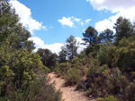 Grupo Mineralógico de Alicante. Los Yesares. Camporrobles. Valencia.