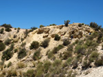 Grupo Mineralógico de Alicante. Barranco del Mulo. Ulea. Murcia