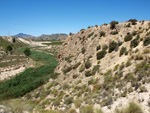 Grupo Mineralógico de Alicante. Barranco del Mulo. Ulea. Murcia