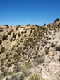 Grupo Mineralógico de Alicante. Barranco del Mulo. Ulea. Murcia