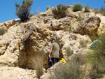 Grupo Mineralógico de Alicante. Barranco del Mulo. Ulea. Murcia