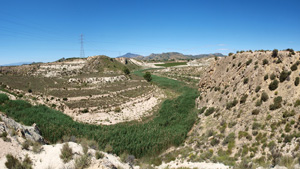 Grupo Mineralógico de Alicante. Barranco del Mulo. Ulea. Murcia