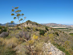 Grupo Mineralógico de Alicante. Cabezo Negro. Zeneta. Murcia