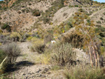 Grupo Mineralógico de Alicante. Cabezo Negro. Zeneta. Murcia