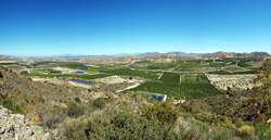 Grupo Mineralógico de Alicante. Cabezo Negro. Zeneta. Murcia