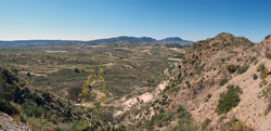 Grupo Mineralógico de Alicante. Cabezo Negro. Zeneta. Murcia