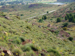 Grupo Mineralógico de Alicante. Mina Rómulo. Cabezo de San Juan. La Unión. Murcia.