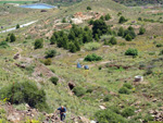 Grupo Mineralógico de Alicante. Mina Rómulo. Cabezo de San Juan. La Unión. Murcia.