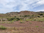 Grupo Mineralógico de Alicante.Los Serranos. Hondón de los Frailes. Alicante 