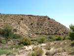 Grupo Mineralógico de Alicante. Alrededores Sierra de las Aguilas. La Alcoraia. Alicante