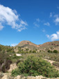 Grupo Mineralógico de Alicante. Alrededores Sierra de las Aguilas. La Alcoraia. Alicante