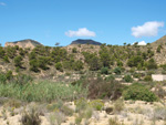 Grupo Mineralógico de Alicante. Alrededores Sierra de las Aguilas. La Alcoraia. Alicante