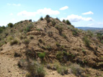 Grupo Mineralógico de Alicante. Alrededores Sierra de las Aguilas. La Alcoraia. Alicante