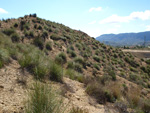 Grupo Mineralógico de Alicante. Alrededores Sierra de las Aguilas. La Alcoraia. Alicante