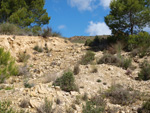 Grupo Mineralógico de Alicante. Alrededores Sierra de las Aguilas. La Alcoraia. Alicante