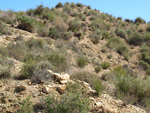 Grupo Mineralógico de Alicante. Alrededores Sierra de las Aguilas. La Alcoraia. Alicante