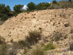 Grupo Mineralógico de Alicante. Alrededores Sierra de las Aguilas. La Alcoraia. Alicante