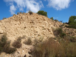 Grupo Mineralógico de Alicante. Alrededores Sierra de las Aguilas. La Alcoraia. Alicante