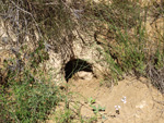 Grupo Mineralógico de Alicante. Alrededores Sierra de las Aguilas. La Alcoraia. Alicante