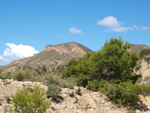 Grupo Mineralógico de Alicante. Alrededores Sierra de las Aguilas. La Alcoraia. Alicante