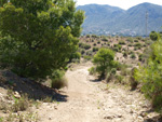 Grupo Mineralógico de Alicante. Alrededores Sierra de las Aguilas. La Alcoraia. Alicante