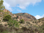 Grupo Mineralógico de Alicante. Alrededores Sierra de las Aguilas. La Alcoraia. Alicante